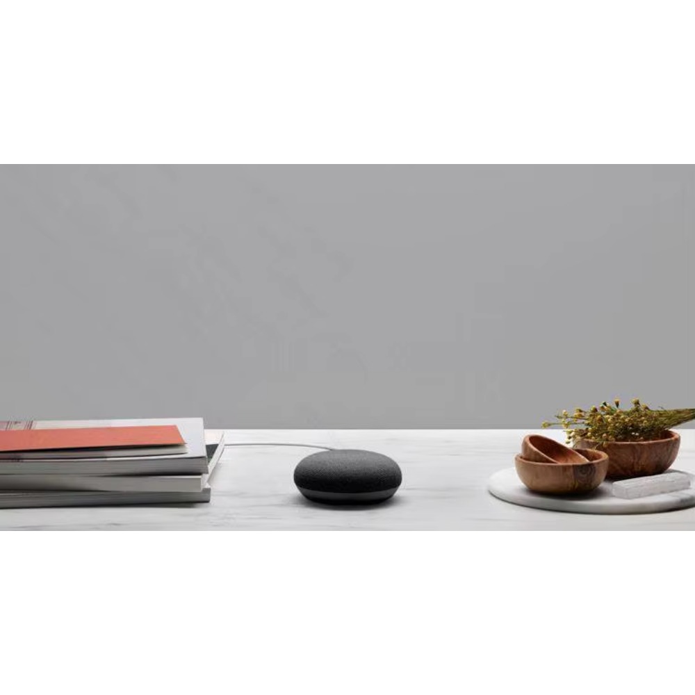 Voor Google Nest Hub Max en Ne - Google Speaker Nest Hub recensie en prijs